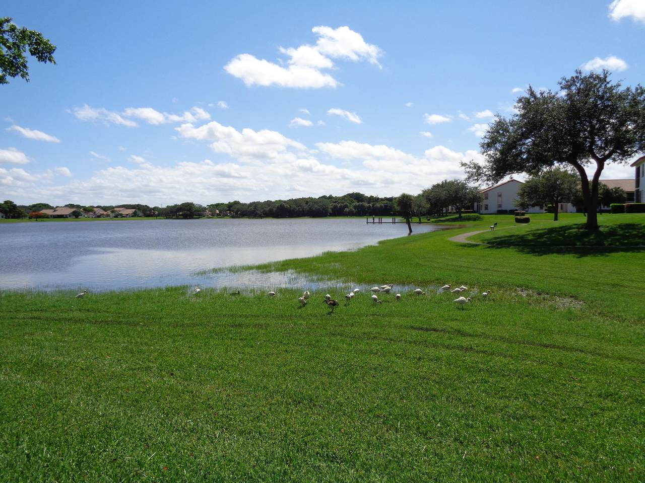402 Cottonwood Place - Photo 1