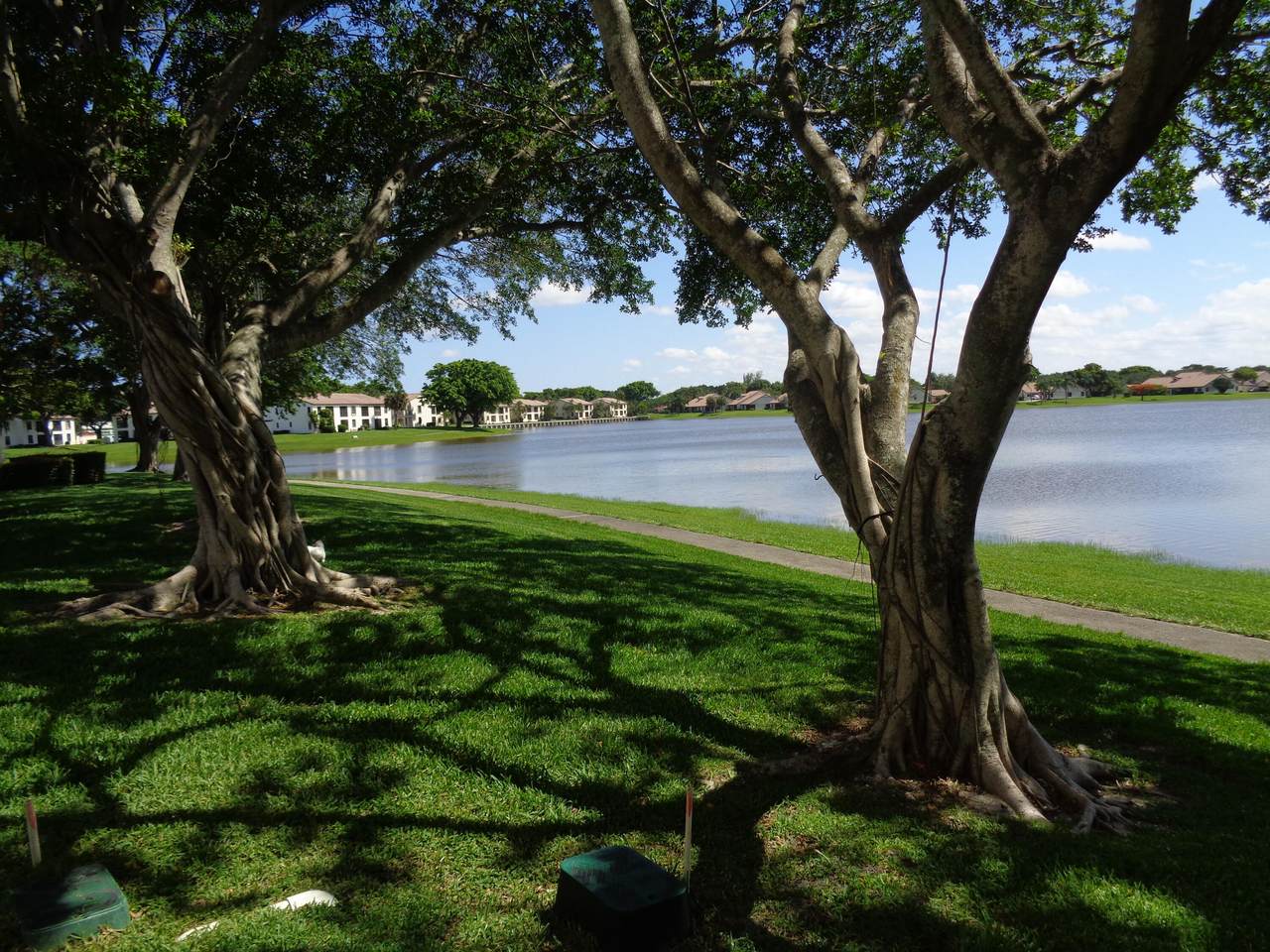301 Olivewood Place - Photo 1