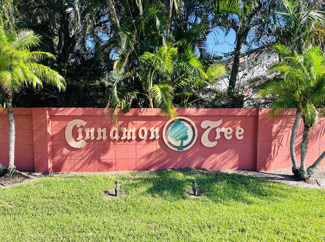 4114 Cinnamon Tree Circle - Photo 1