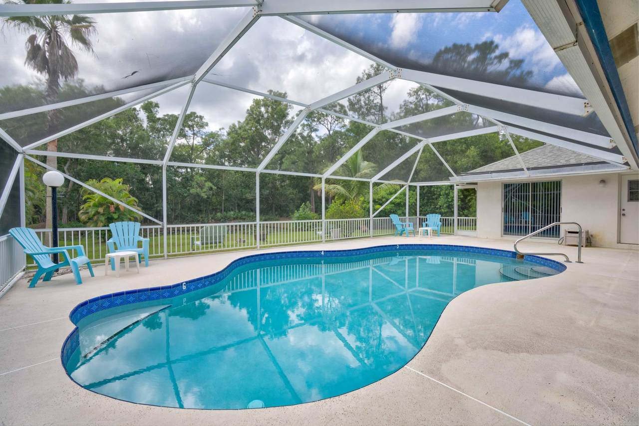 12168 Sandy Run Road - Photo 1