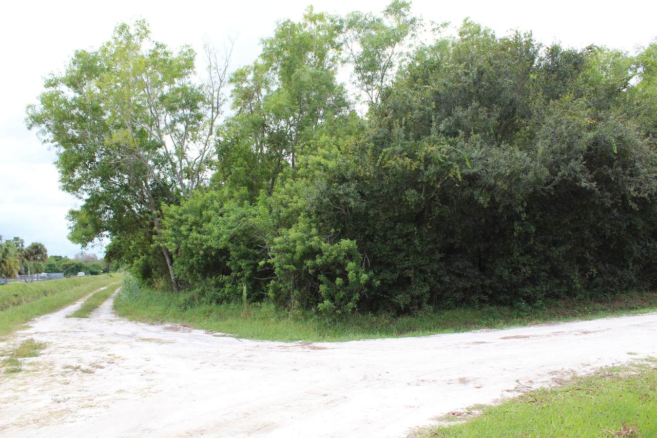 18772 49th Street - Photo 1