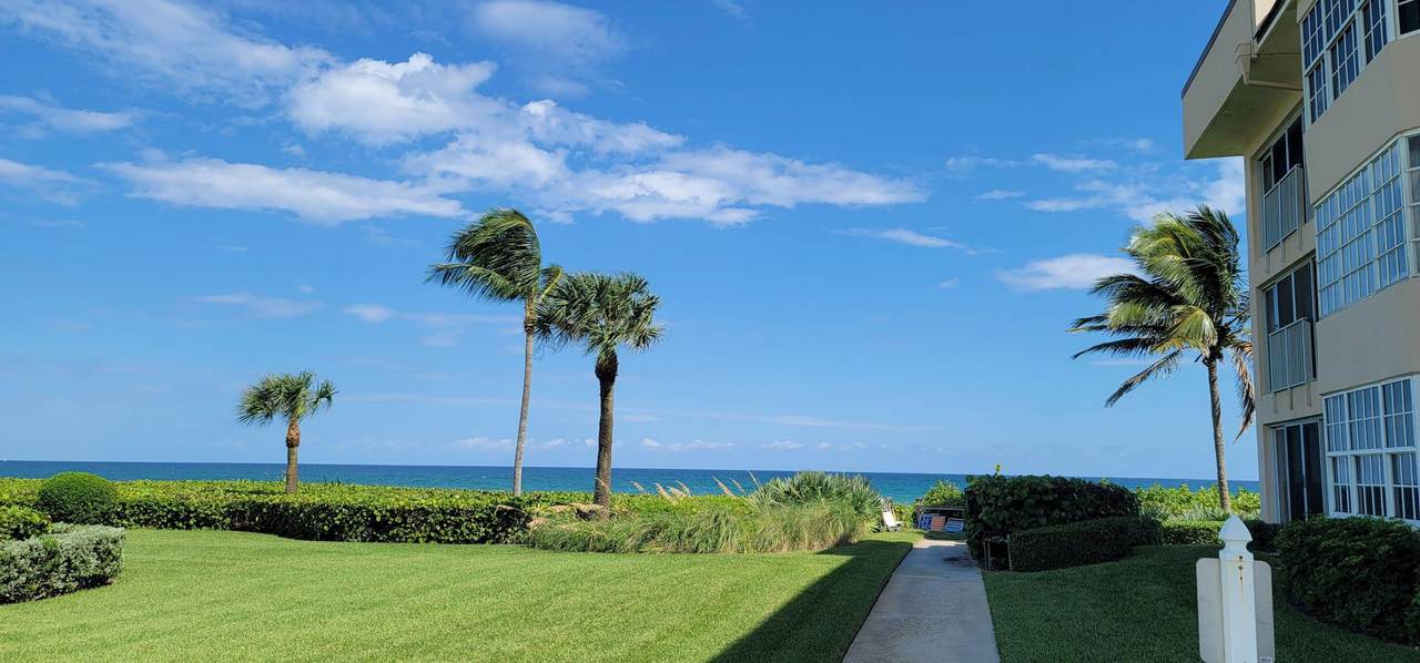 80 Celestial 113 Way - Photo 1