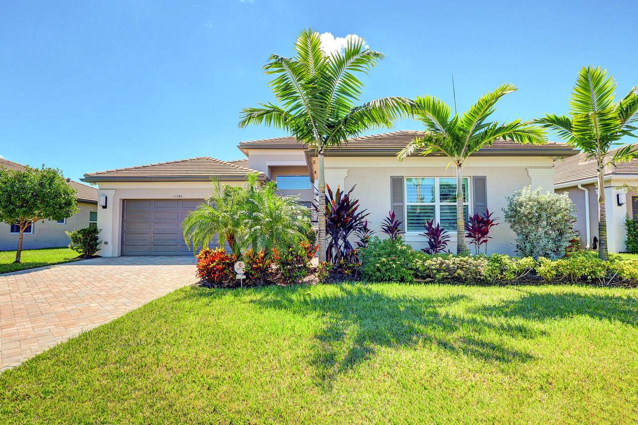 11686 Coronado Springs Drive - Photo 1