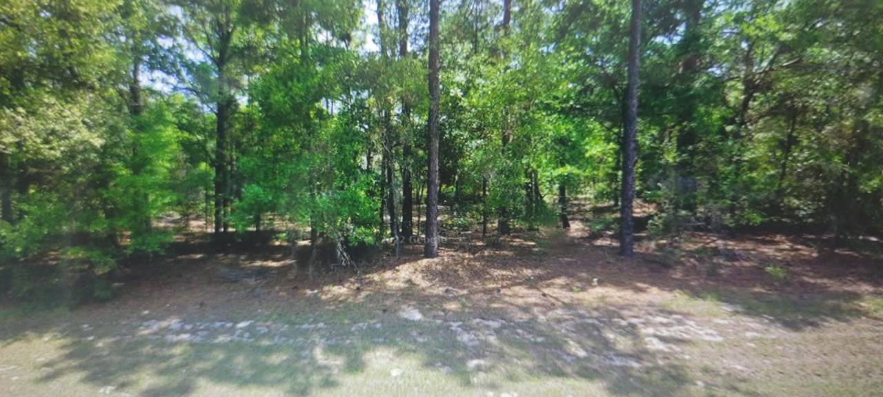 11073 Morrell Drive - Photo 1