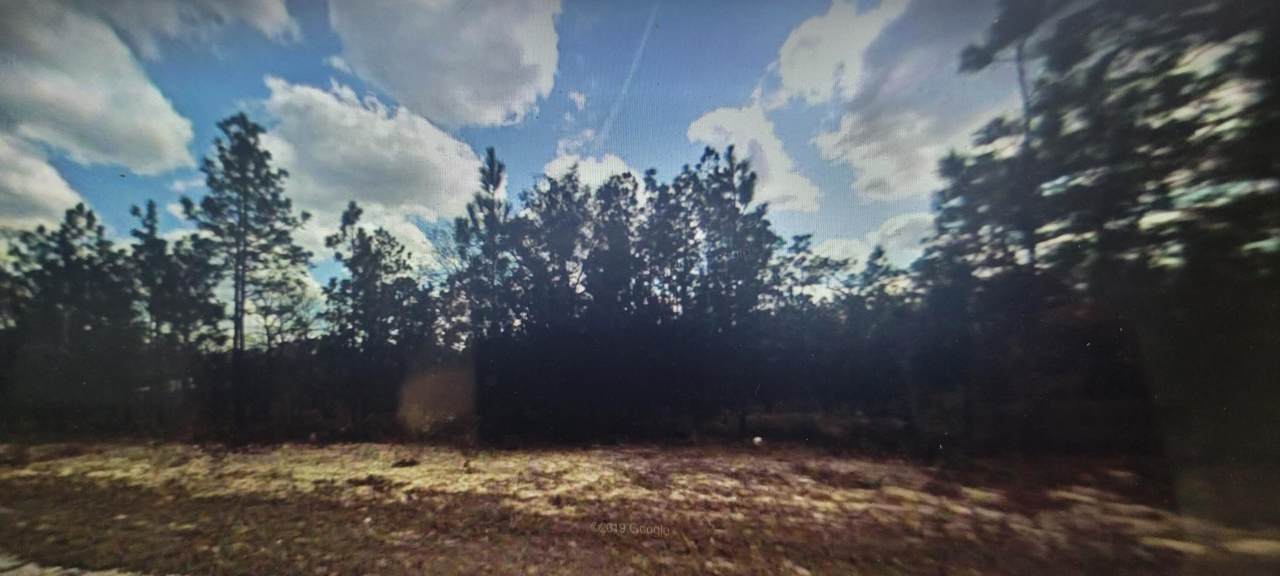 3852 Hondo Drive - Photo 1