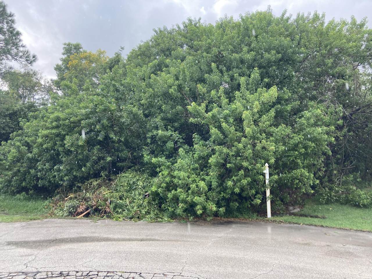 3340 Myers Court - Photo 1