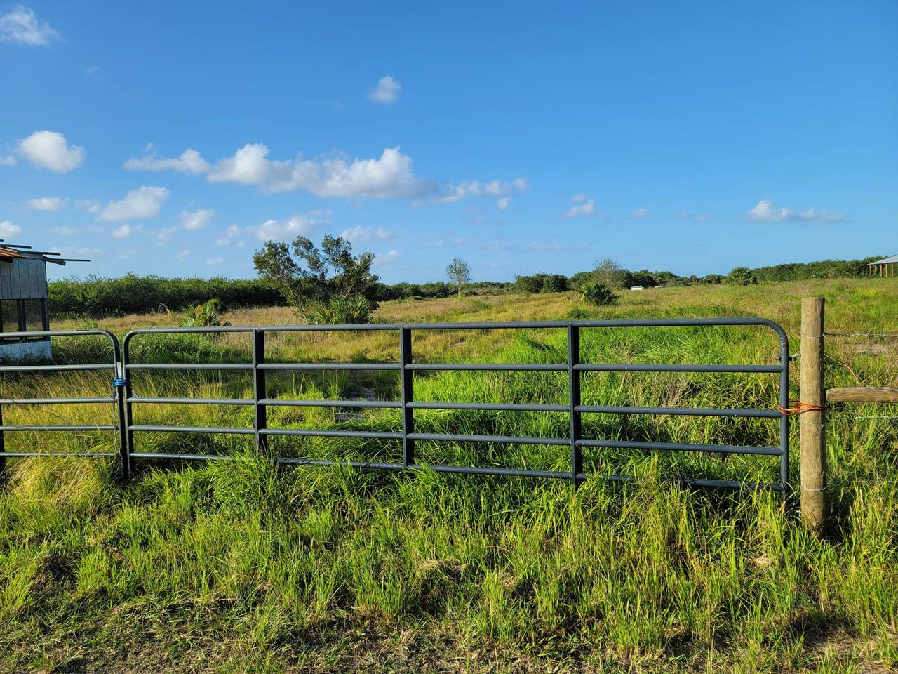 15225 113th Street - Photo 1