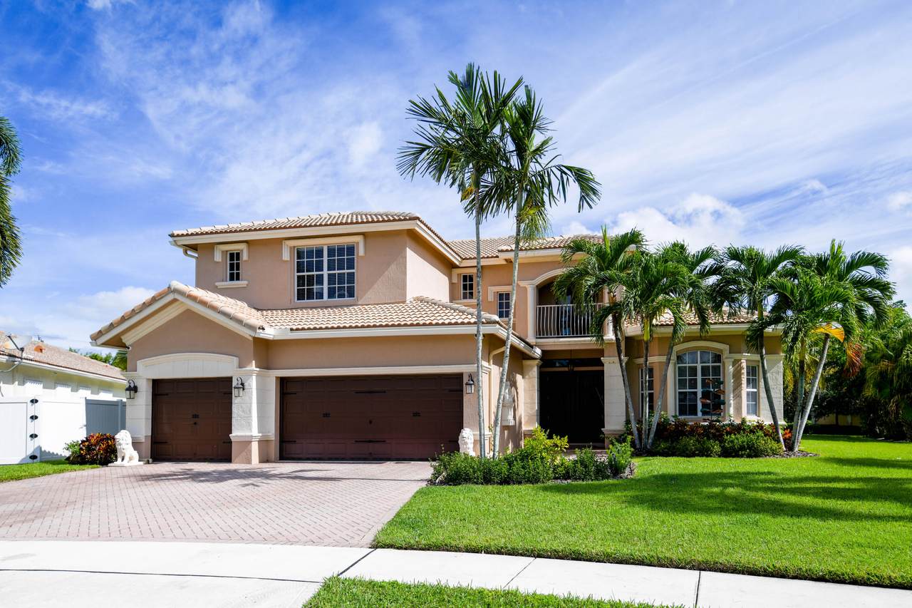 10067 Freesian Way - Photo 1