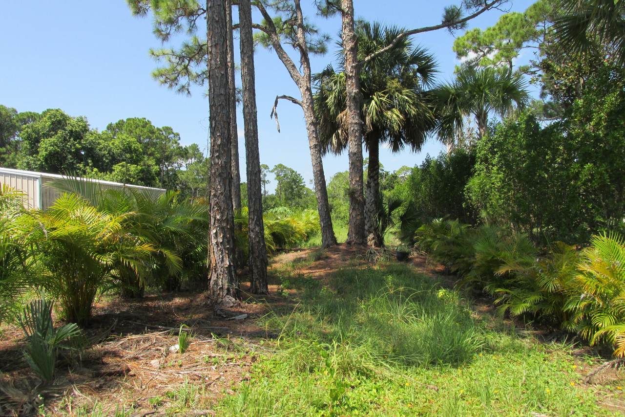 5150 Kanner Highway - Photo 1
