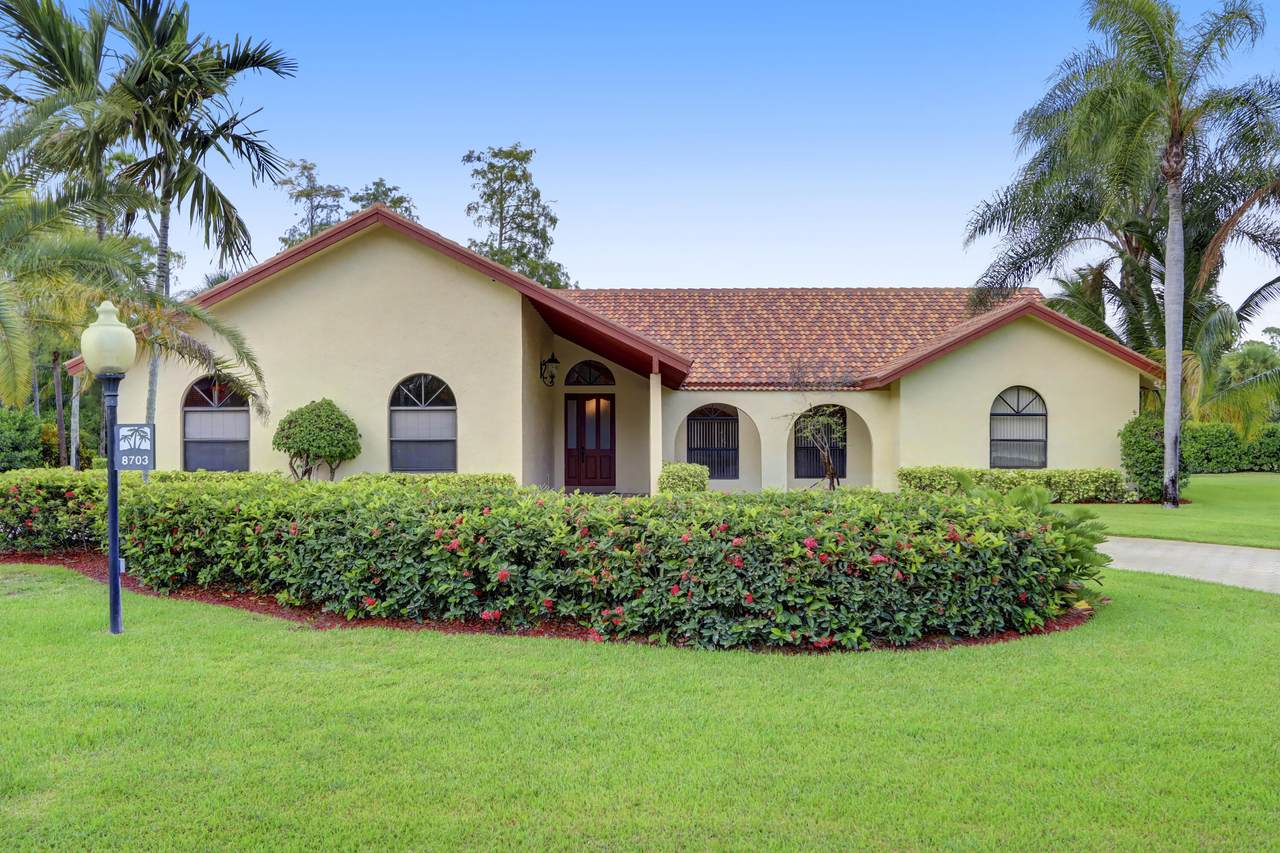 8703 Wendy Lane - Photo 1