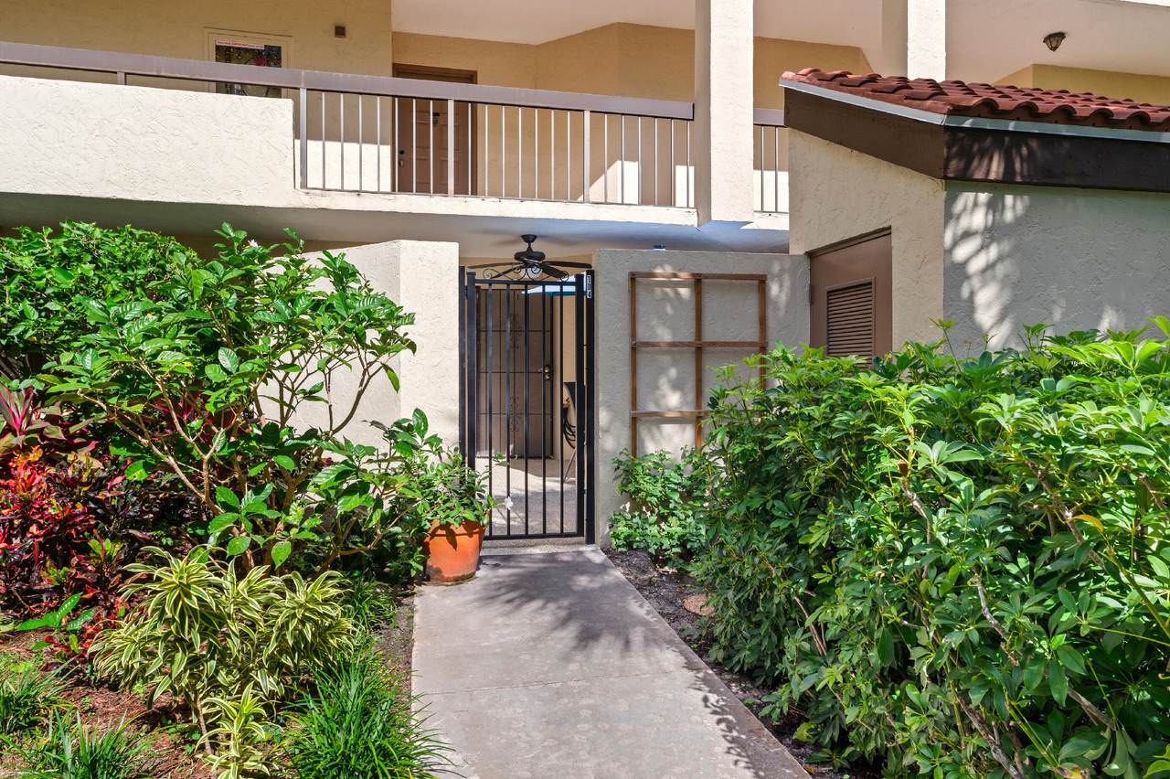 955 Egret Circle - Photo 1