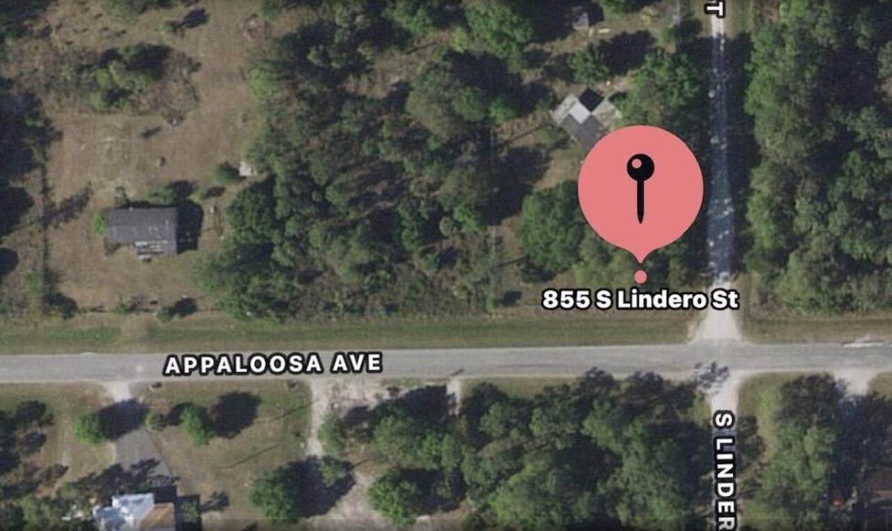 855 Lindero Street - Photo 1