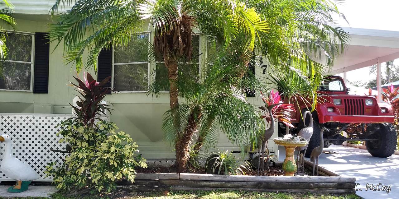 37 Flamenco Way - Photo 1