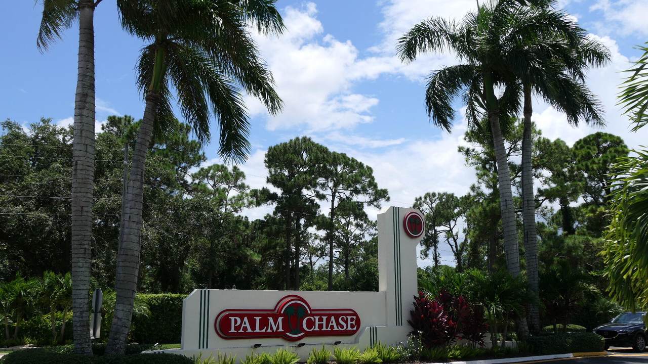 10938 Roebelini Palm Court - Photo 1