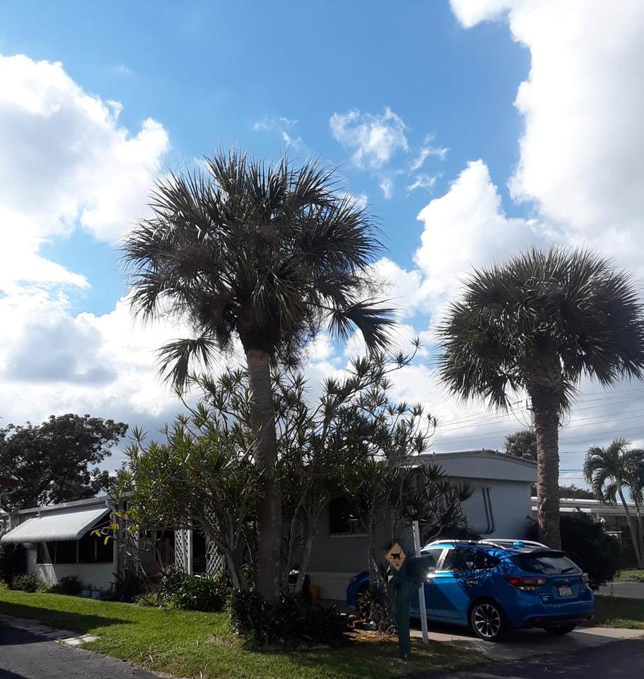58009 Bahama Bay - Photo 1