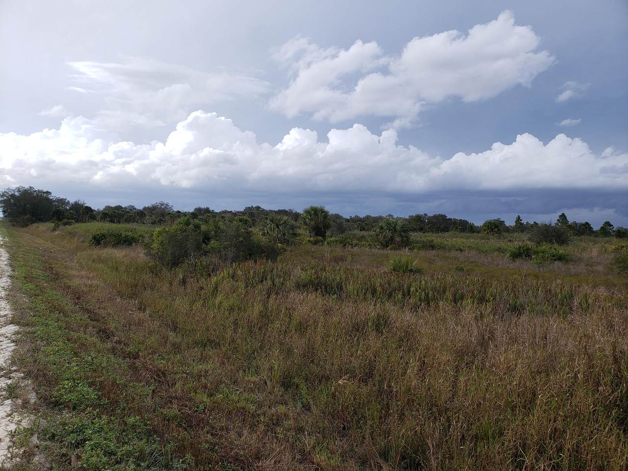 16365 288th Street - Photo 1