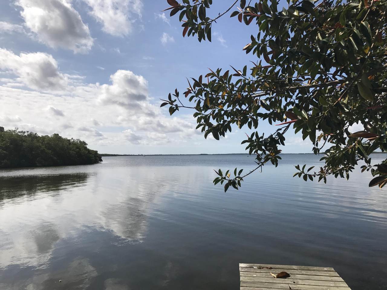 4195 Pine Island Road - Photo 1