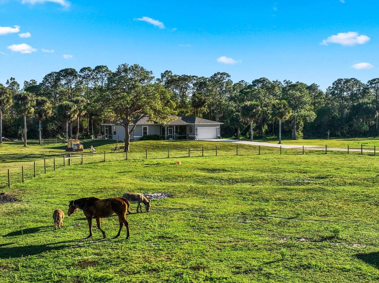 10880 Carlton Road - Photo 1