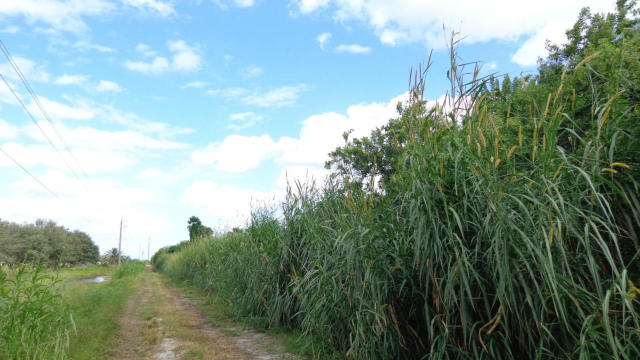 0 Fox Brown Road - Photo 1
