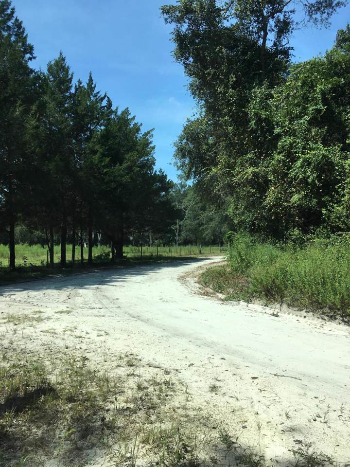 Xxx 97th Road - Photo 1
