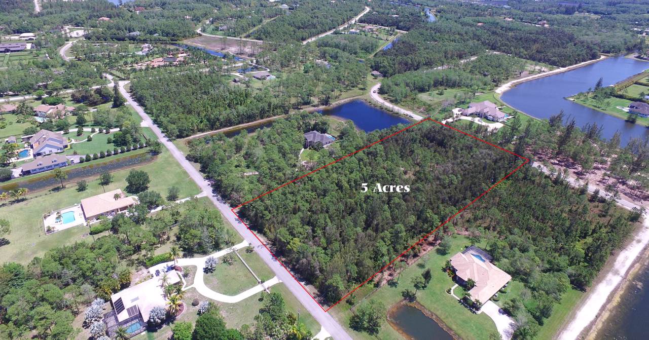 6401 Wild Orchid Trail - Photo 1