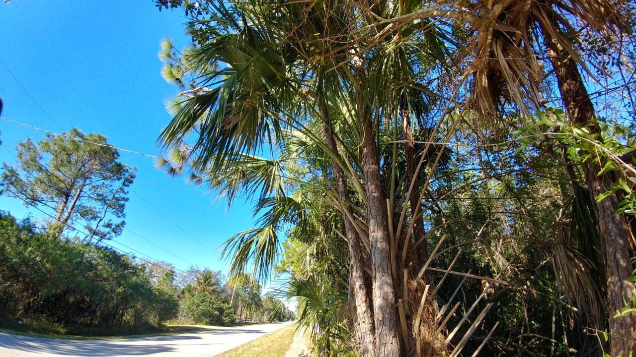 000 Key Lime Boulevard - Photo 1