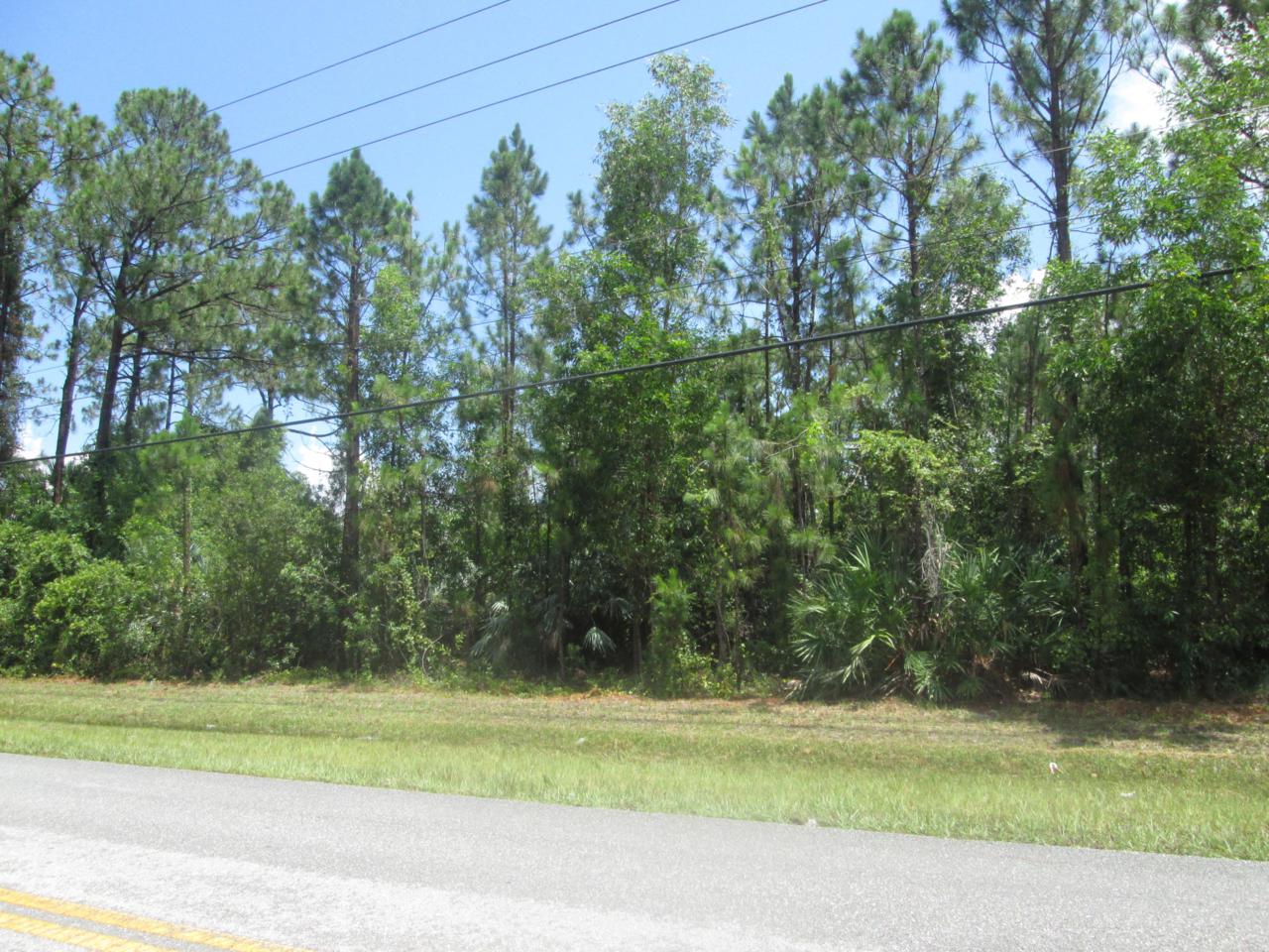 Xxxxx Hamlin Boulevard - Photo 1