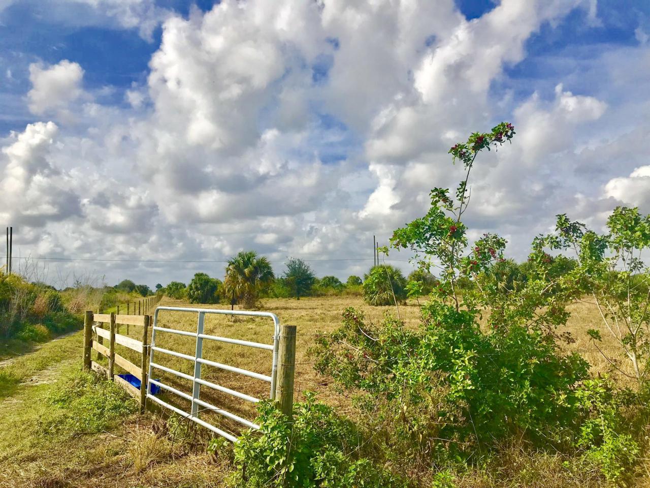 6883 Carol Street - Photo 1