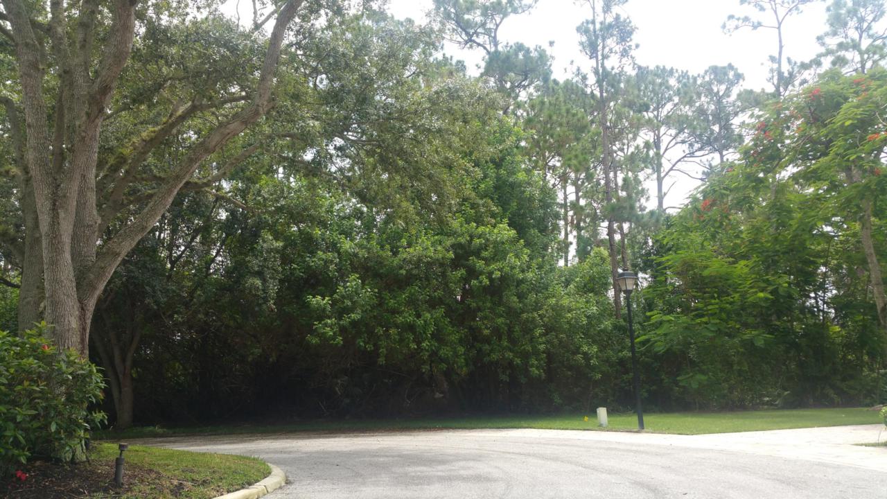 6632 Audubon Trace - Photo 1