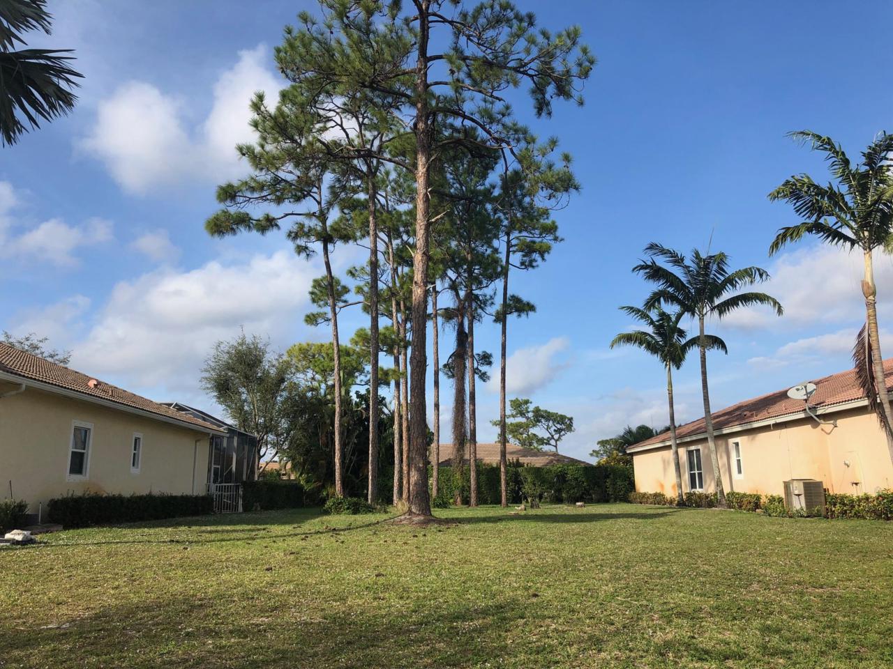 471 Pine Tree Court - Photo 1