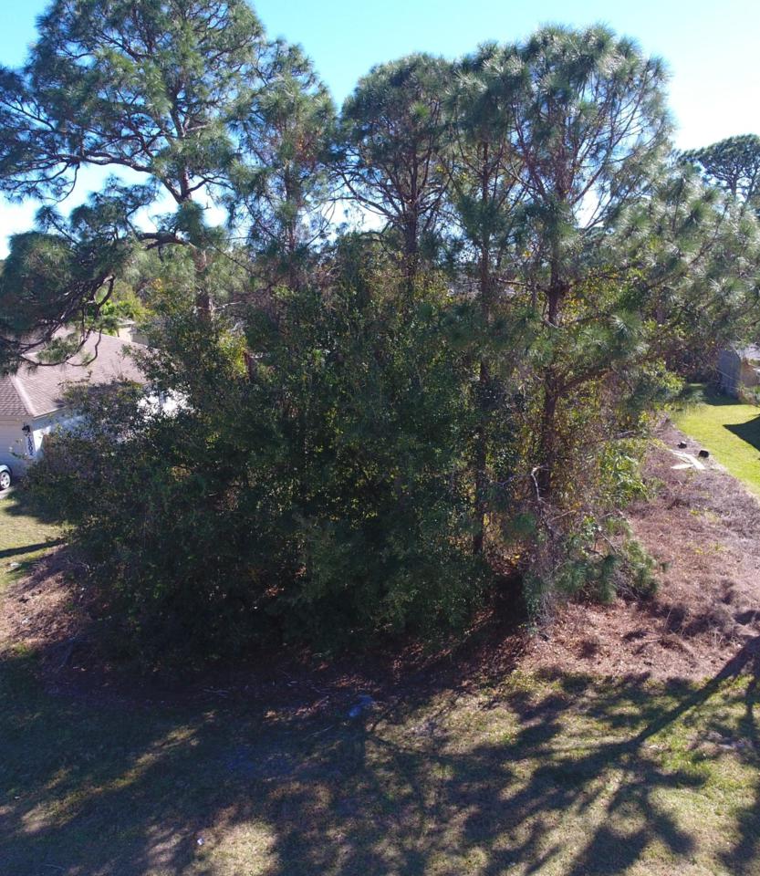 1310 Paar Drive - Photo 1