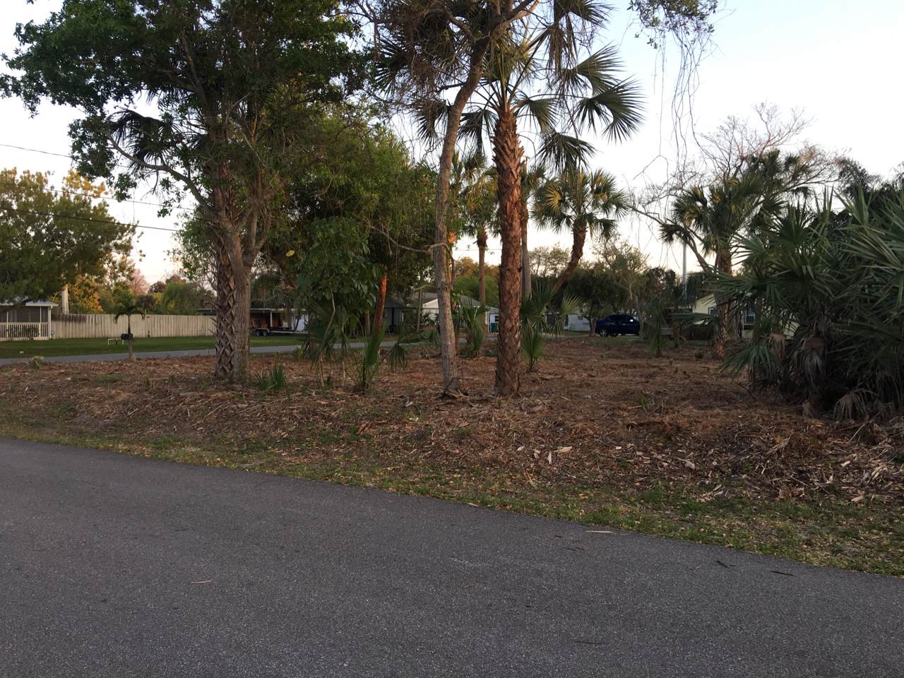 0000 Palm Avenue - Photo 1