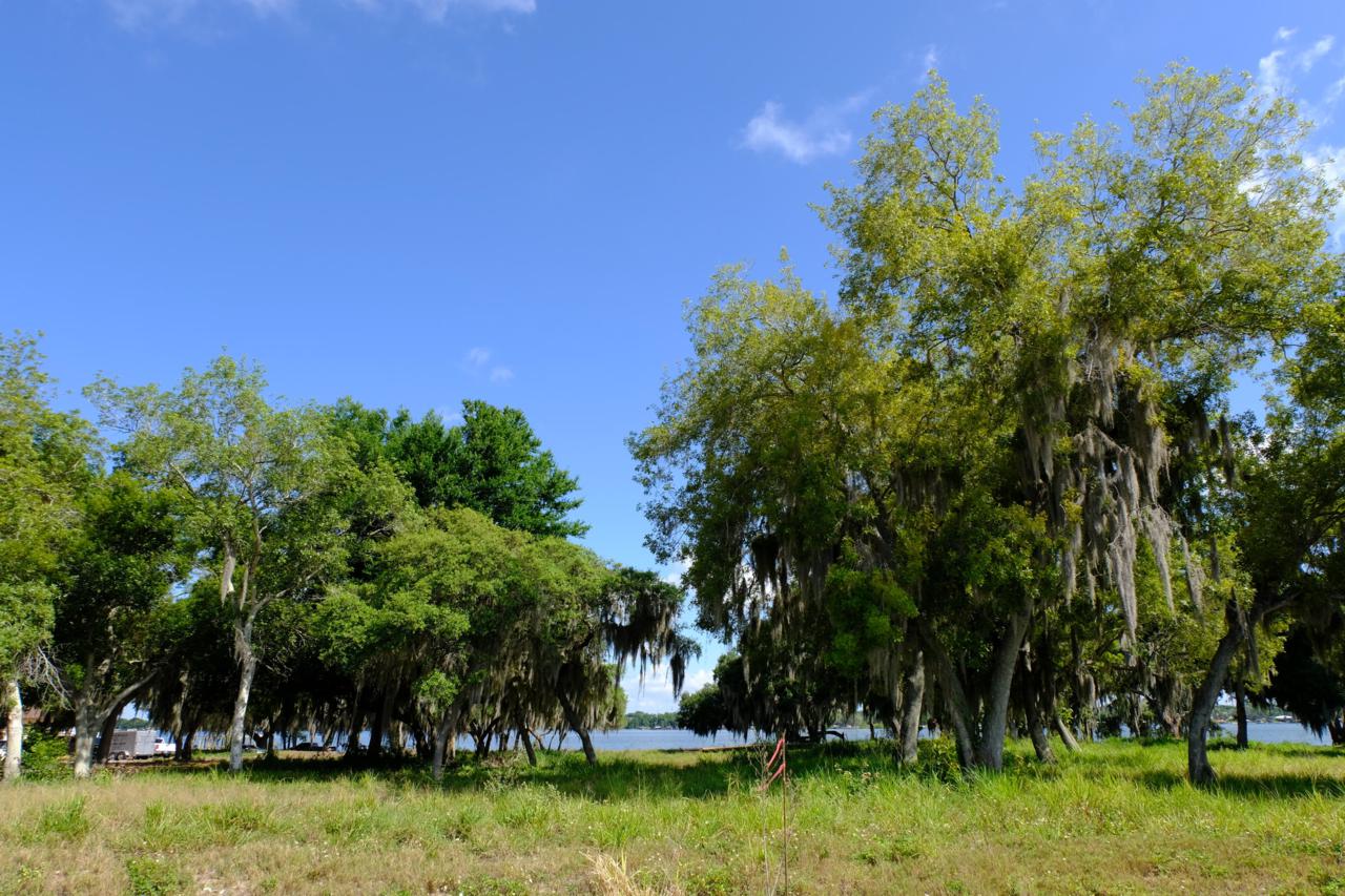 508 Heartland Boulevard - Photo 1