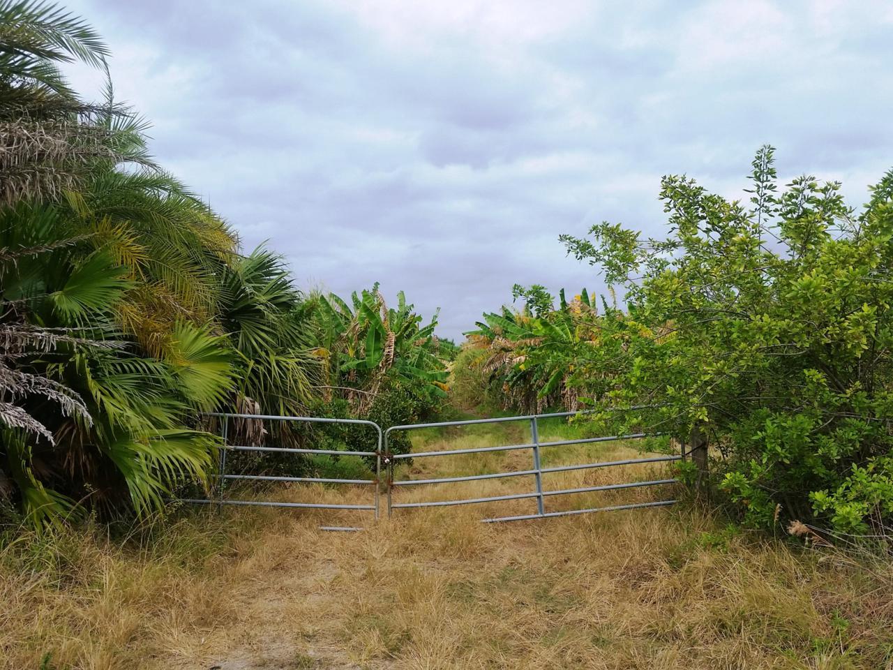 22801 Arrowroot Road - Photo 1