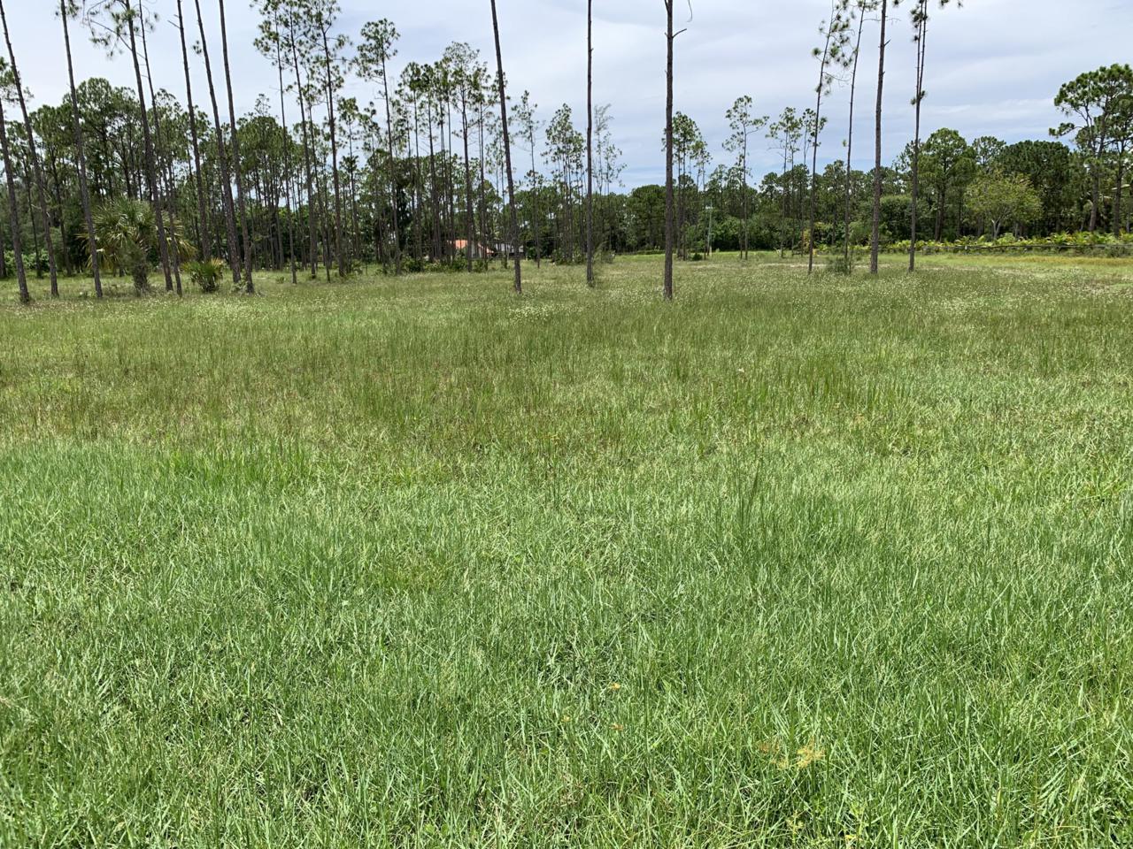 00000 Cocoa Plum Road - Photo 1
