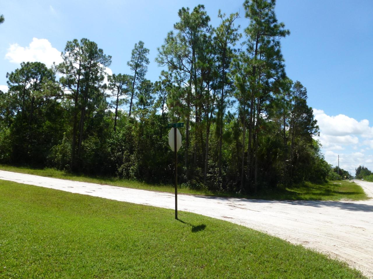 0 90th Street - Photo 1
