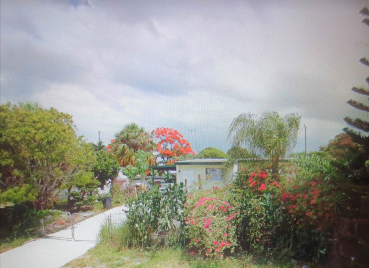 191 Hibiscus Tree Drive - Photo 1