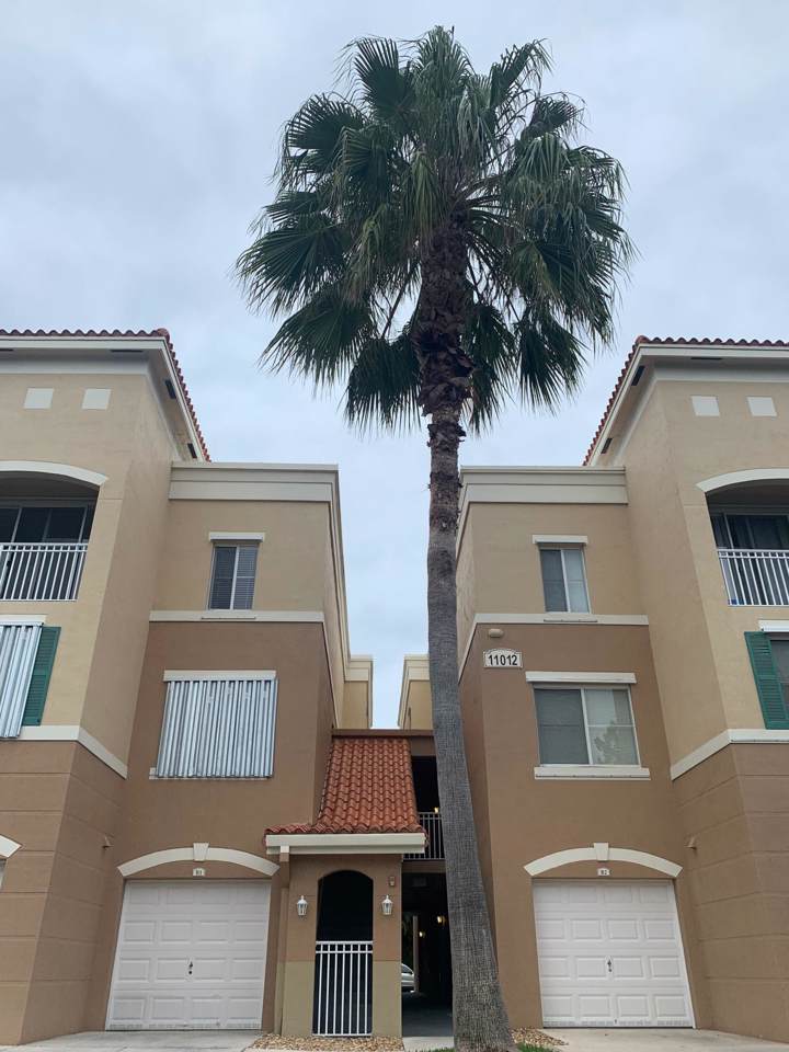 11012 Legacy Drive - Photo 1