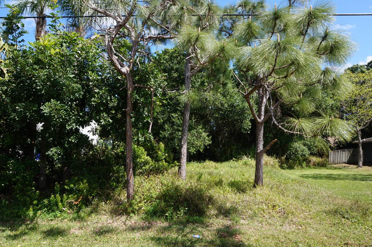 1220 Bevan Drive - Photo 1 1220 Bevan Drive - Photo 1