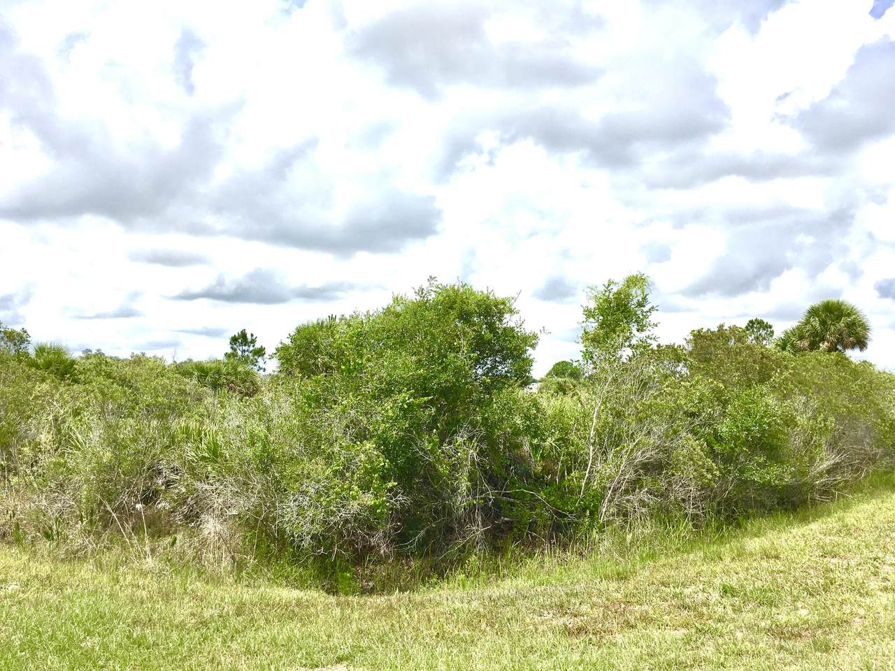 17874 314th Street - Photo 1