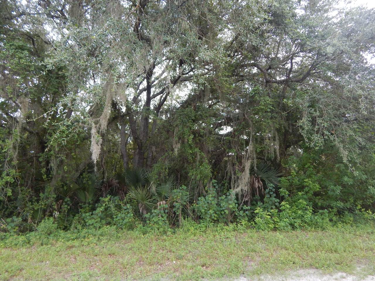775 Olivo Street - Photo 1