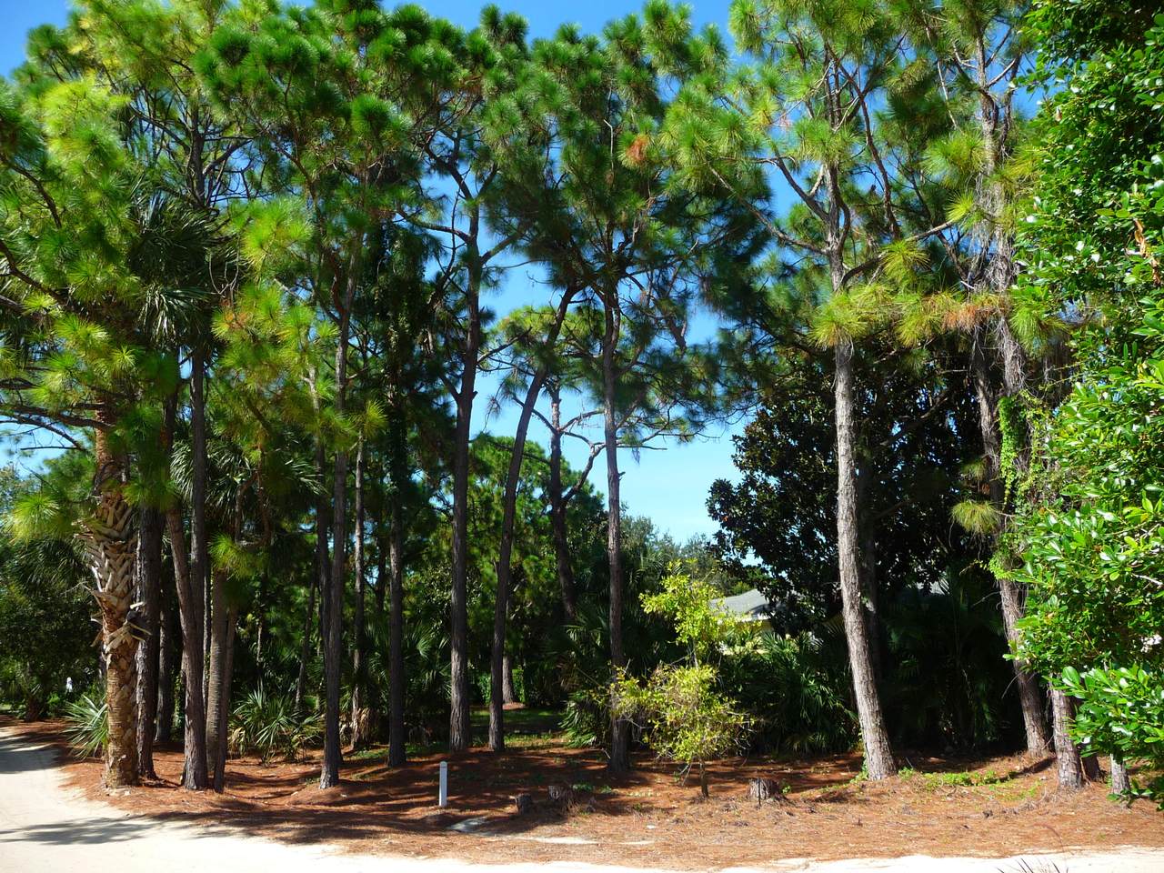 797 Hampton Woods Lane - Photo 1
