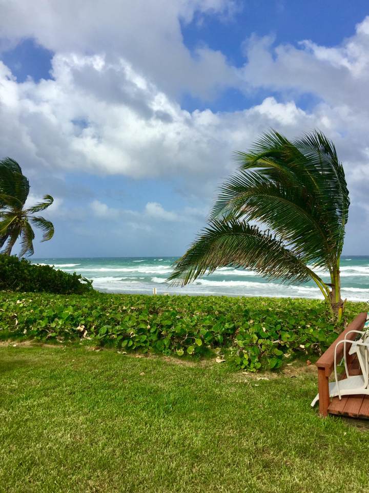 3401 Ocean Boulevard - Photo 1