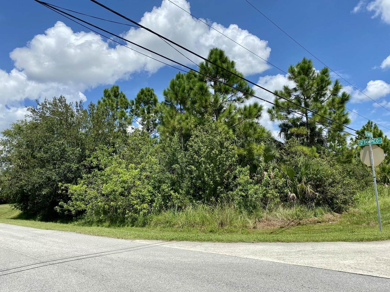 2201 Tampico Street - Photo 1