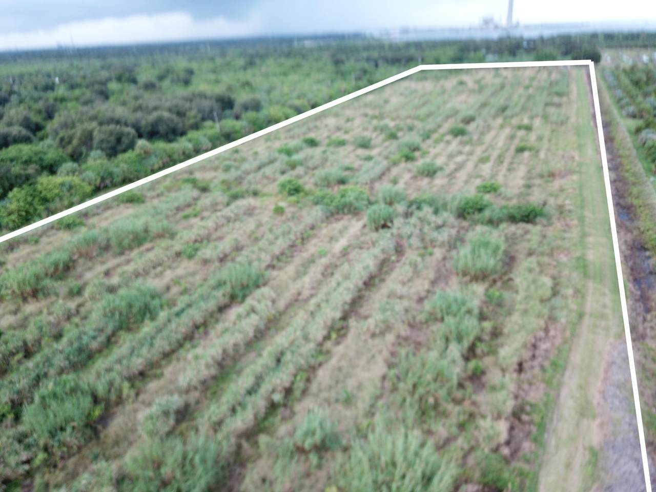 Aaa Arrowroot Street - Photo 1