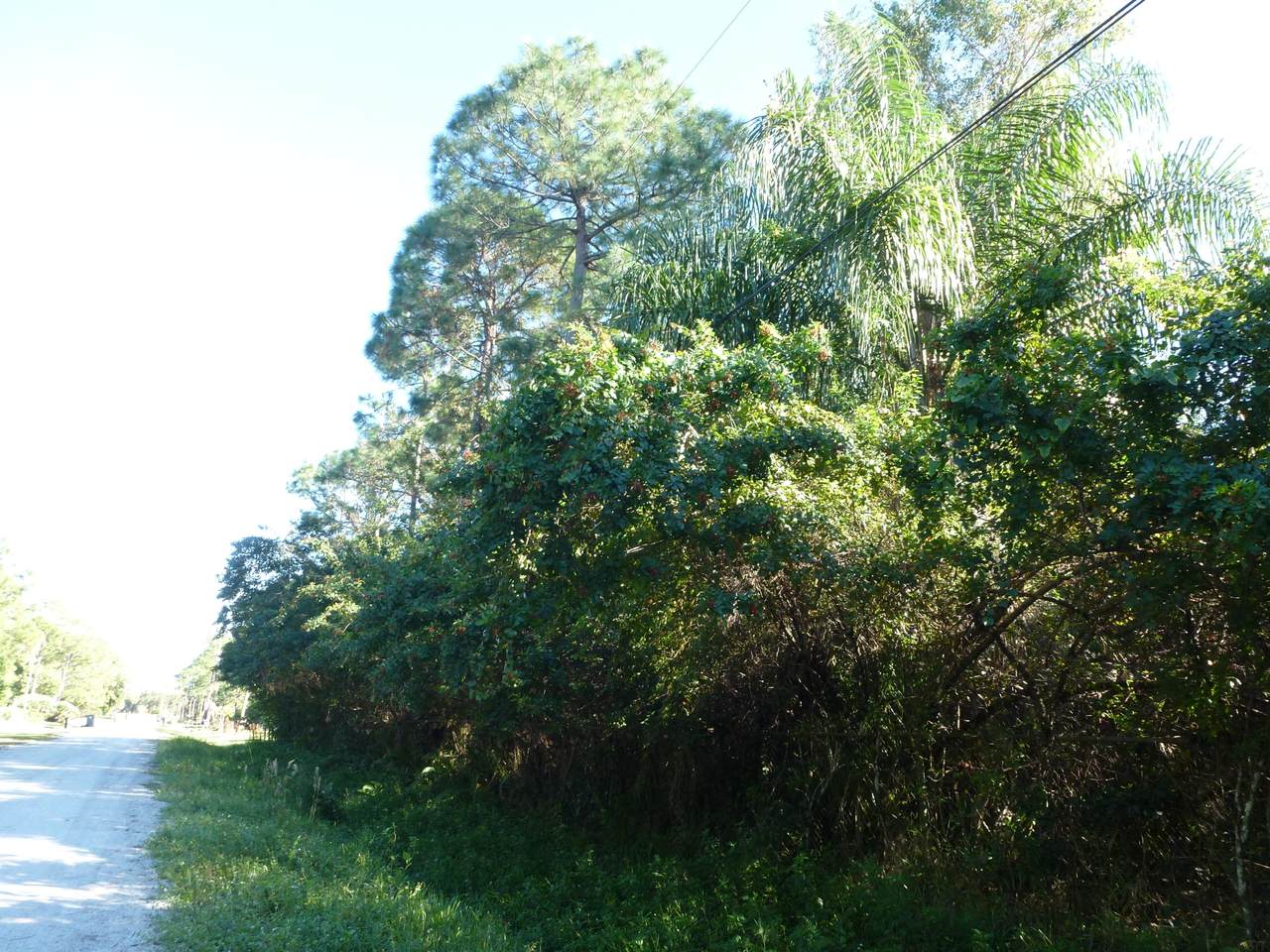 0 95 Th Lane - Photo 1