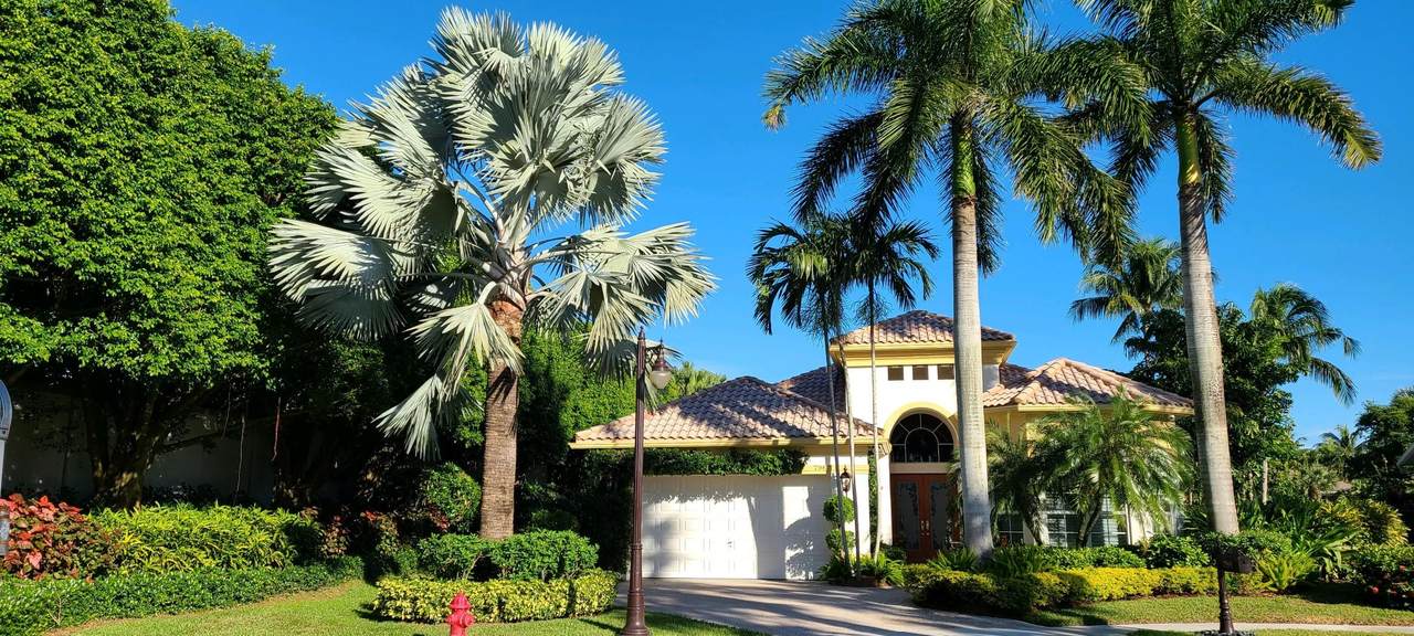 7967 Palencia Way - Photo 1