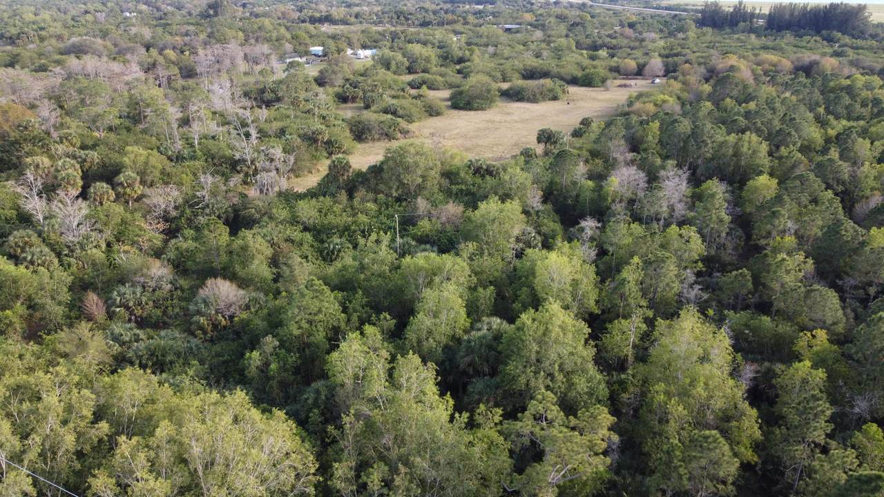 20452 Cole Lane - Photo 1