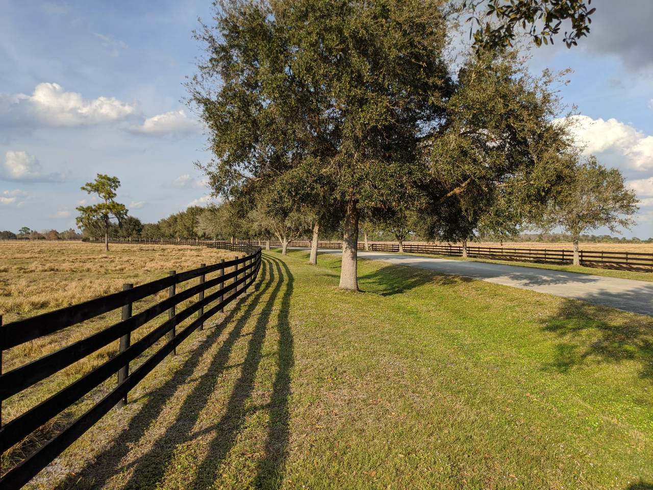 25701 Brians Trail - Photo 1
