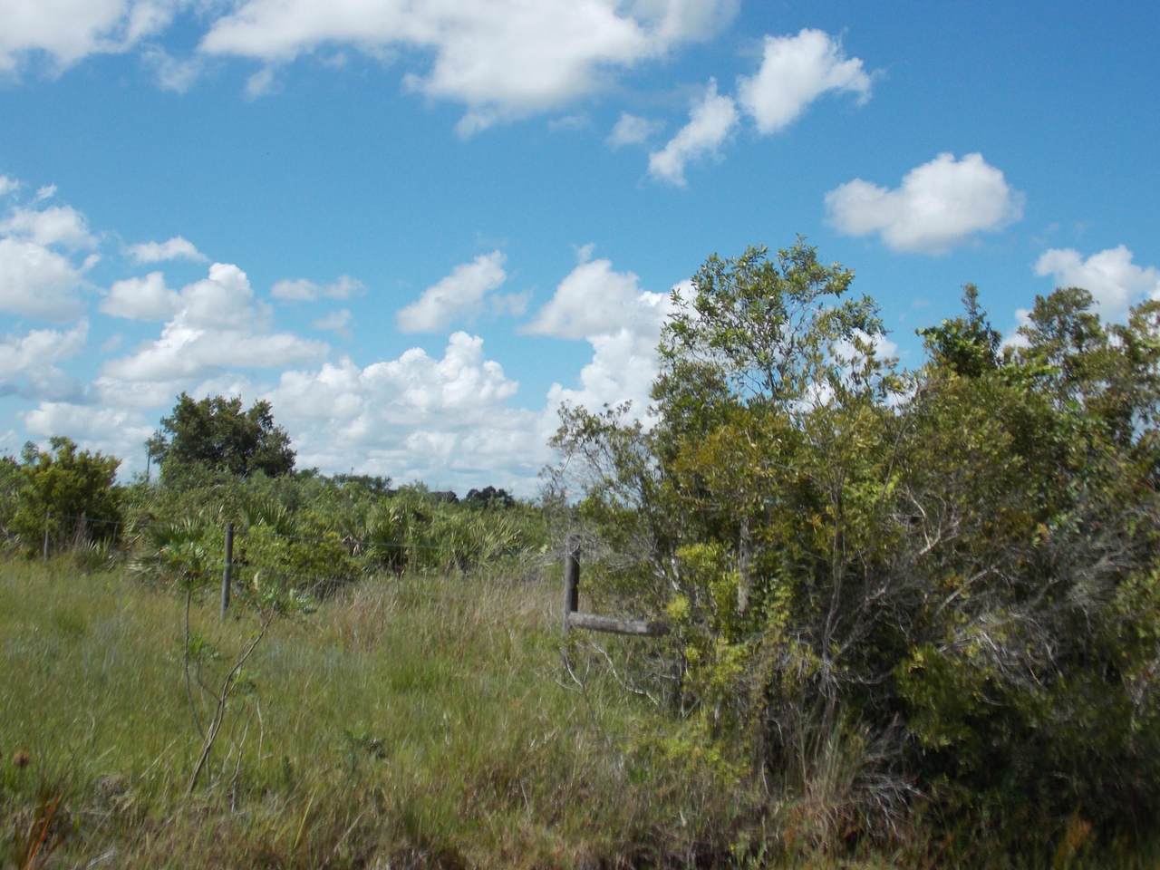 20166 244th Street - Photo 1